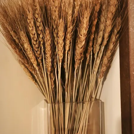 Casa de Férias Casa Ladislada Cella