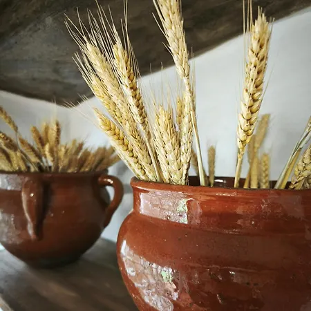 - Casa Ladislada Cella