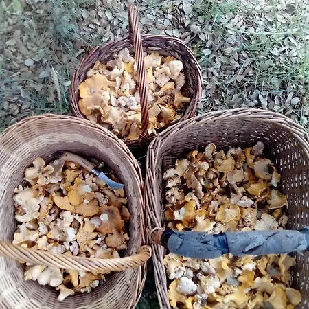 Casa de Férias Casa Ladislada *