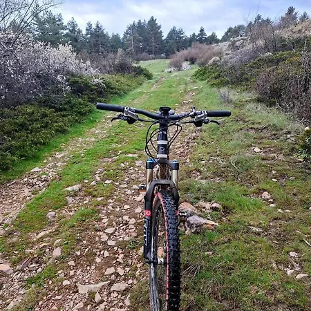 Casa Ladislada * Cella